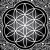 FLOWER OF LIFE Lady
